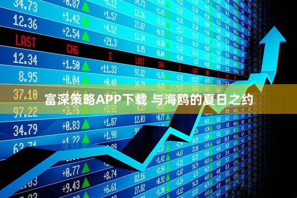富深策略APP下载 与海鸥的夏日之约